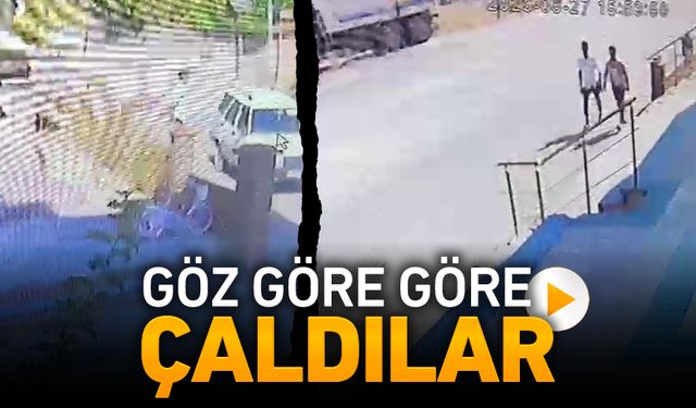 GÖZ GÖRE GÖRE ÇALDILAR