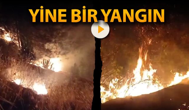 KARABÜK'TE YİNE BİR YANGIN!