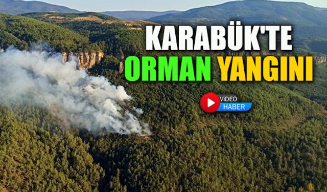 KARABÜK'TE ORMAN YANGINI: 2 HELİKOPTERLE MÜDAHALE EDİLİYOR