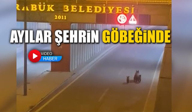 KARABÜK 'TE AYILAR ŞEHRİN MERKEZİNE İNDİ