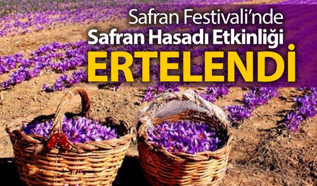 SAFRAN FESTİVALİ 'NDE SAFRAN HASADI ETKİNLİĞİ ERTELENDİ