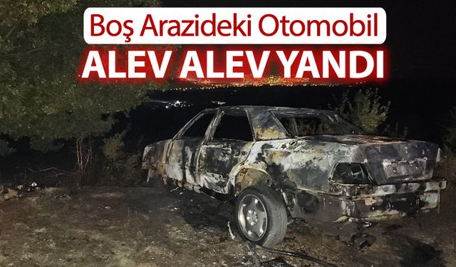 BOŞ ARAZİDEKİ OTOMOBİL ALEV ALEV YANDI