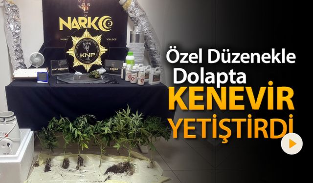 ÖZEL DÜZENEKLE DOLAPTA KENEVİR YETİŞTİRDİ