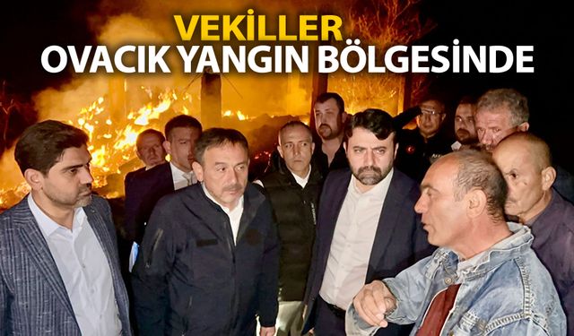 VEKİLLER OVACIK YANGIN BÖLGESİNDE