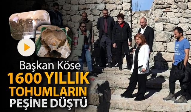 BAŞKAN KÖSE 1600 YILLIK TOHUMLARIN PEŞİNE DÜŞTÜ