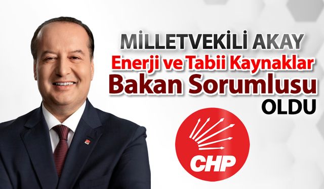 CHP'Lİ MİLLETVEKİLİ AKAY GÖLGE BAKAN OLDU