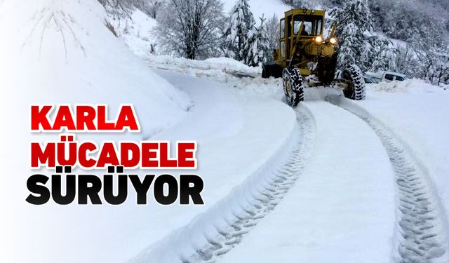 KARABÜK'TE KARLA MÜCADELE SÜRÜYOR