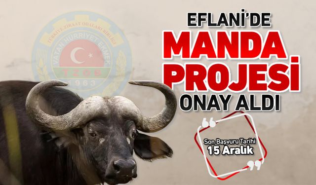 'MANDA PROJESİ' EFLANİ'DE ONAY ALDI