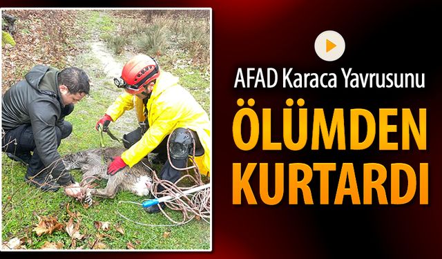 KARACA YAVRUSUNU AFAD KURTARDI