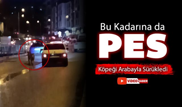 BU KADARINA DA PES