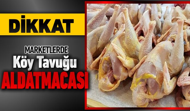 KÖY TAVUĞU ALIRKEN DİKKAT EDİN KANDIRILMAYIN