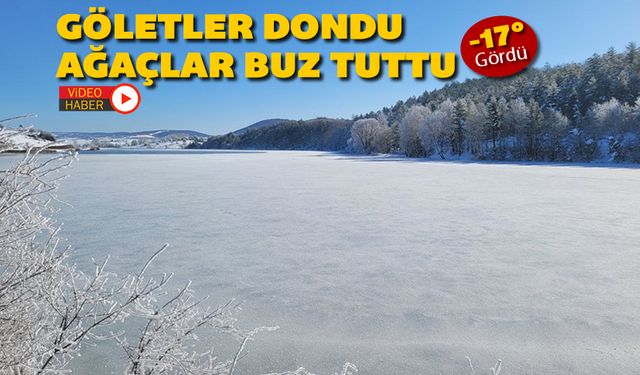 EFLANİ'DE GÖLETLER VE AĞAÇLAR BUZ TUTTU