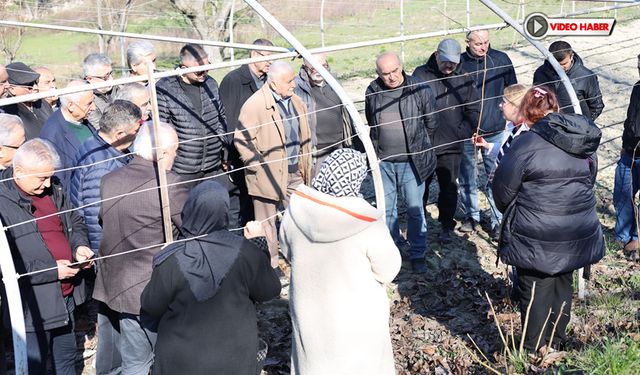 SAFRANBOLU BAĞCILIK KURSUNA AKIN ETTİ