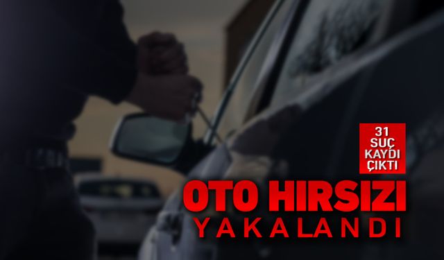 OTO HIRSIZI YAKALANDI