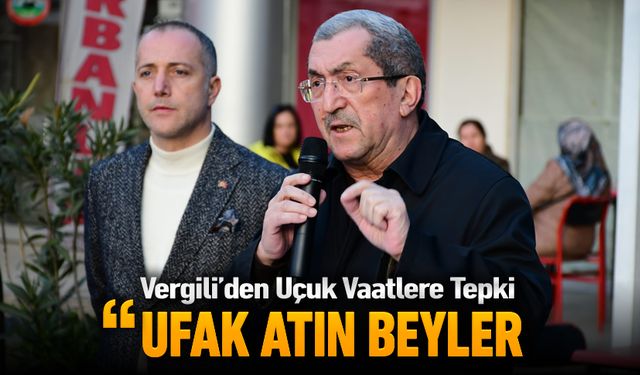 VERGİLİ "UFAK ATIN BEYLER"