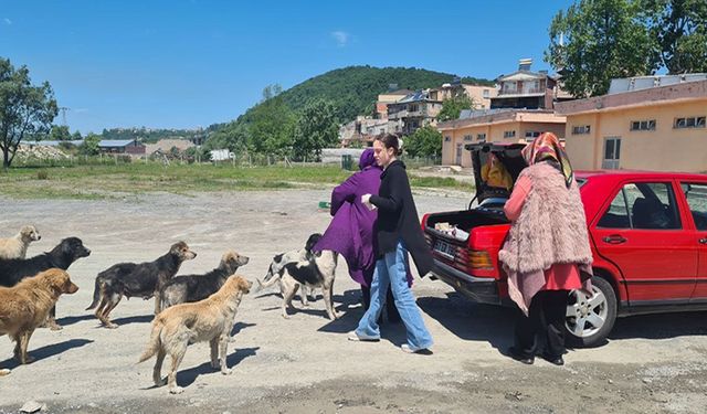 ZONGULDAK'IN 400 NÜFUSLU KÖYÜNDE UYUZ PANİĞİ