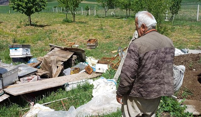 ÇANKIRI'DA AÇ AYI ARI KOVANLARINI PARÇALADI