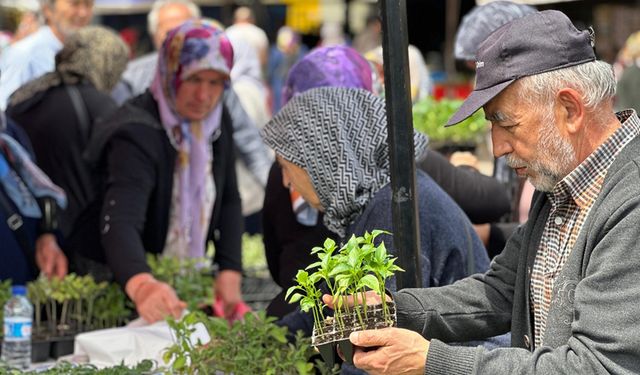 BELEDİYEDEN ÜRETİCİLERE YERLİ FİDE DESTEĞİ