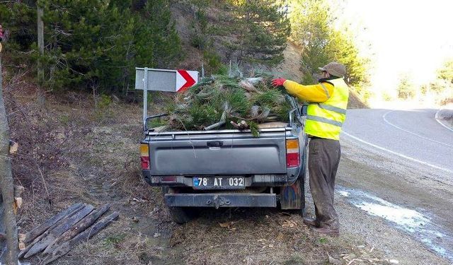 KARABÜK'TE ÇAM KESE BÖCEĞİNE KARŞI ETKİN MÜCADELE SÜRÜYOR