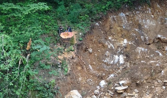 DERE ISLAH ÇALIŞMASINDA BİN YIILIK PORSUK AĞACINI KESTİLER