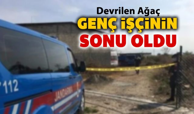 DEVRİLEN AĞACIN ALTINDA KALAN GENÇ İŞÇİ HAYATINI KAYBETTİ