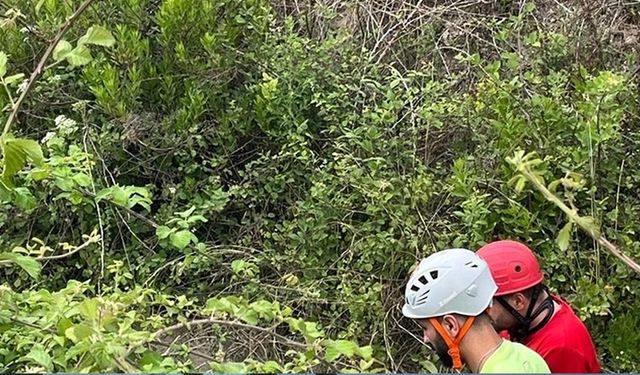 KASTAMONU'DA ŞİZOFRENİ HASTASI KADIN KAYBOLDU