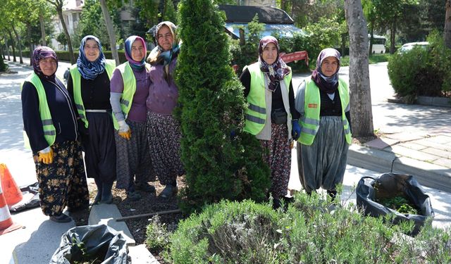 PARK VE BAHÇELERDE BAHAR TEMİZLİĞİ