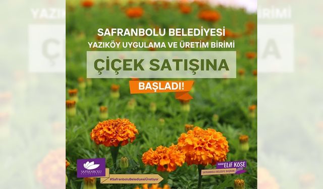 SAFRANBOLU BELEDİYESİ ÇİÇEK SATIŞINA BAŞLADI