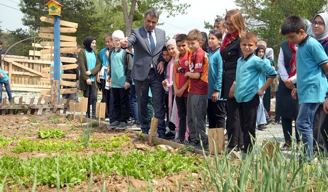 ATIL ARAZİDE ÇOÇUKLAR ÇOCUKLAR ÜRETİME BAŞLADI