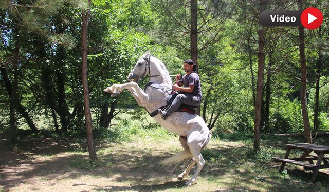 "ALLAH" DENİNCE ŞAHA KALKAN AT SOSYAL MEDYADA VİRAL OLDU