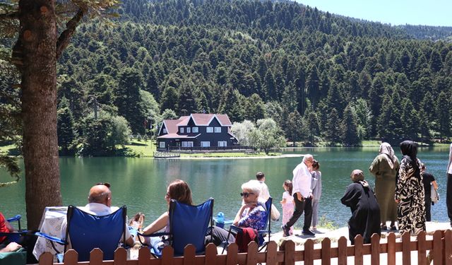 BOLU'DA ORMANLIK ALANLARA GİRİŞ YASAKLANDI