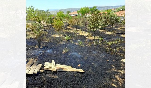 ÇANKIRI'DA OT YANGINI