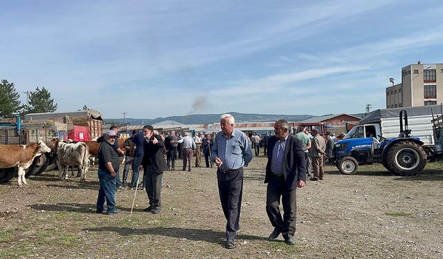 KASTAMONU HAYVAN PAZARINDA HAREKETLİ GÜNLER YAŞANIYOR