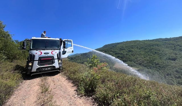 KASTAMONU'DA ORMAN YANGINI KONTROL ALTINA ALINDI