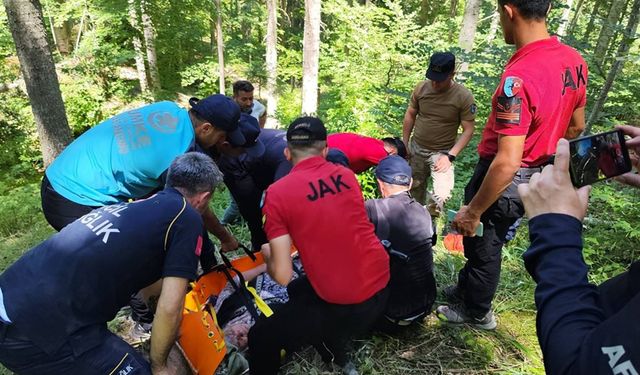 9 GÜNDÜR KAYIP OLAN YAŞLI KADIN ORMANLIK ALANDA BULUNDU