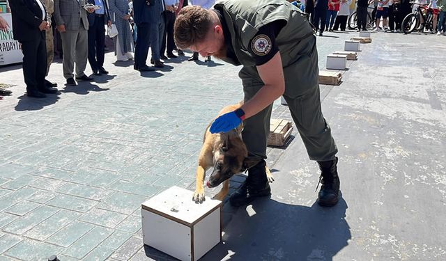 NARKOTİK KÖPEĞİ 'HERA' HÜNERLERİNİ SERGİLEDİ