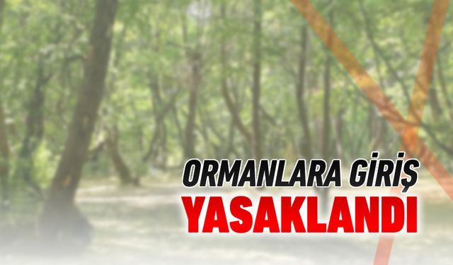 KARABÜK'TE ORMANLARA GİRİŞLER YASAKLANDI