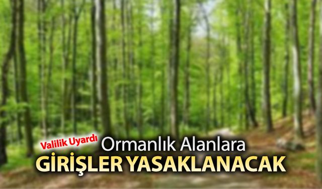 ORMANLIK ALANLARA GİRİŞLER YASAKLANACAK