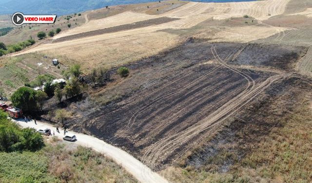 KARABÜK'TE ANIZ YANGINI: 5 DÖNÜM ALAN YANDI