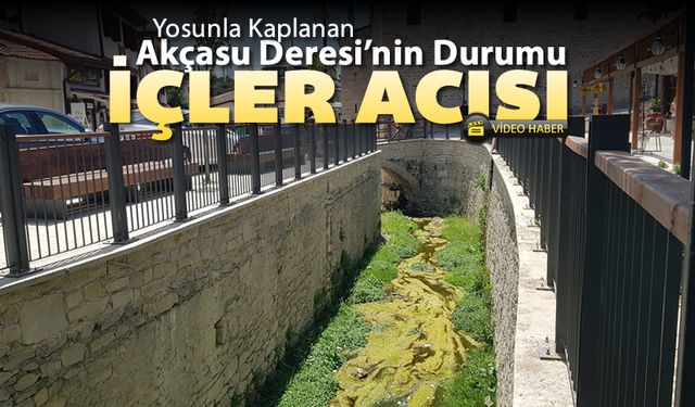 AKÇASU DERESİ'NİN DURUMU İÇLER ACISI