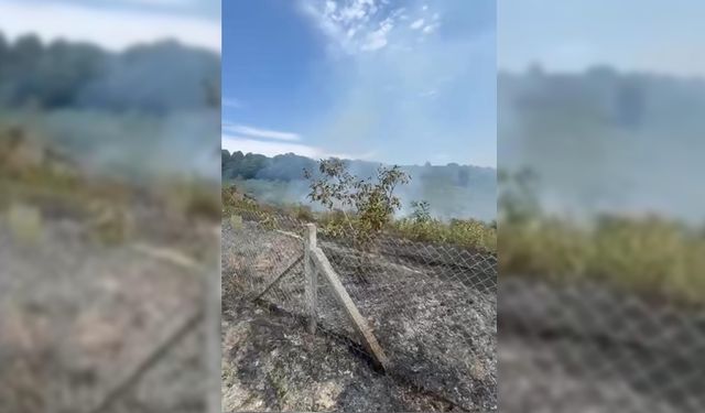 ALAPLI'DA FINDIK TARLASINDA YANGIN ÇIKTI