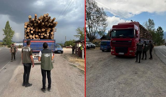 BOLU'DA KAÇAK ORMAN EMVALİNE GEÇİT YOK