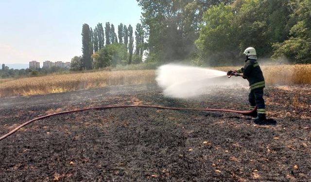 BOLU'DA KOPAN ELEKTRİK KABLOSU TARLAYI YAKTI