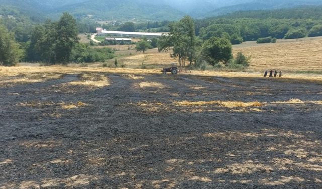 BOLU'DA BUĞDAY SAPLARI ALEV ALDI