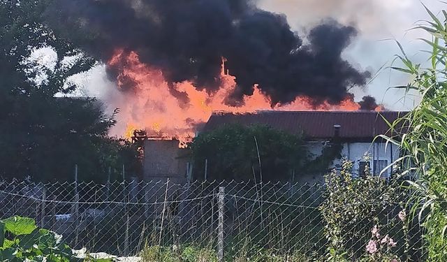 BOLU'DA BARAKA ALEVLERE TESLİM OLDU