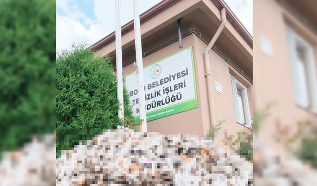 BOLU'DA YERE ÇÖP ATANLARA 14 BİN LİRA CEZA