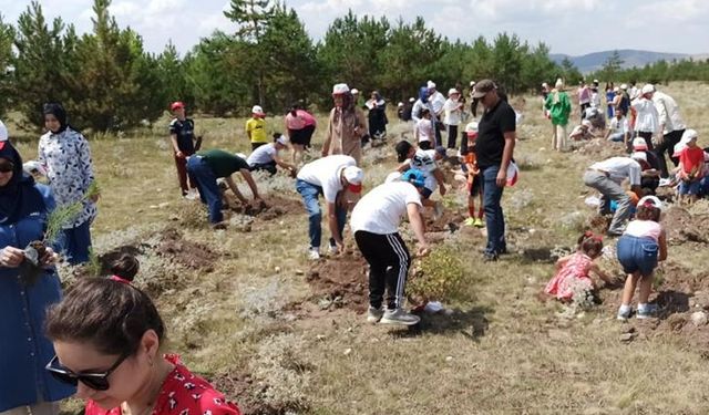 ÇANKIRI'DA VATANDAŞLAR HEM FİDAN DİKTİ HEM EĞLENDİ