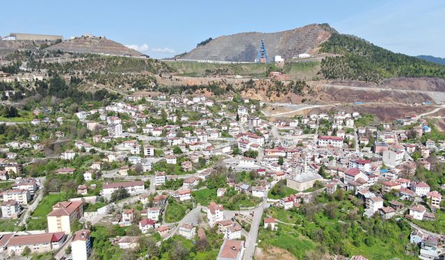 DOMUZLAR YÜZÜNDEN TARLALARINI EKEMİYORLAR