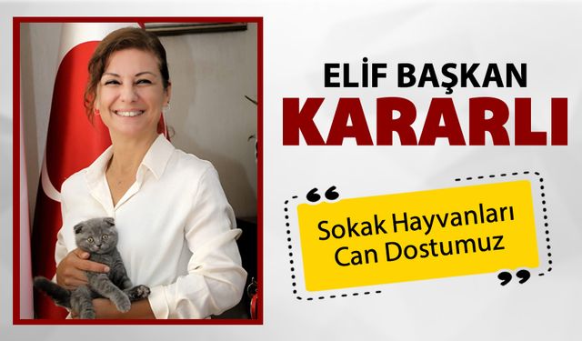 ELİF BAŞKAN, CAN DOSTLARI İÇİN KARARLI