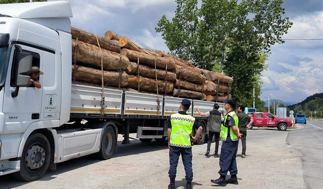 KAÇAK ORMAN EMVALİNE KARŞI GEÇİCİ KONTROL NOKTALARI KURULDU